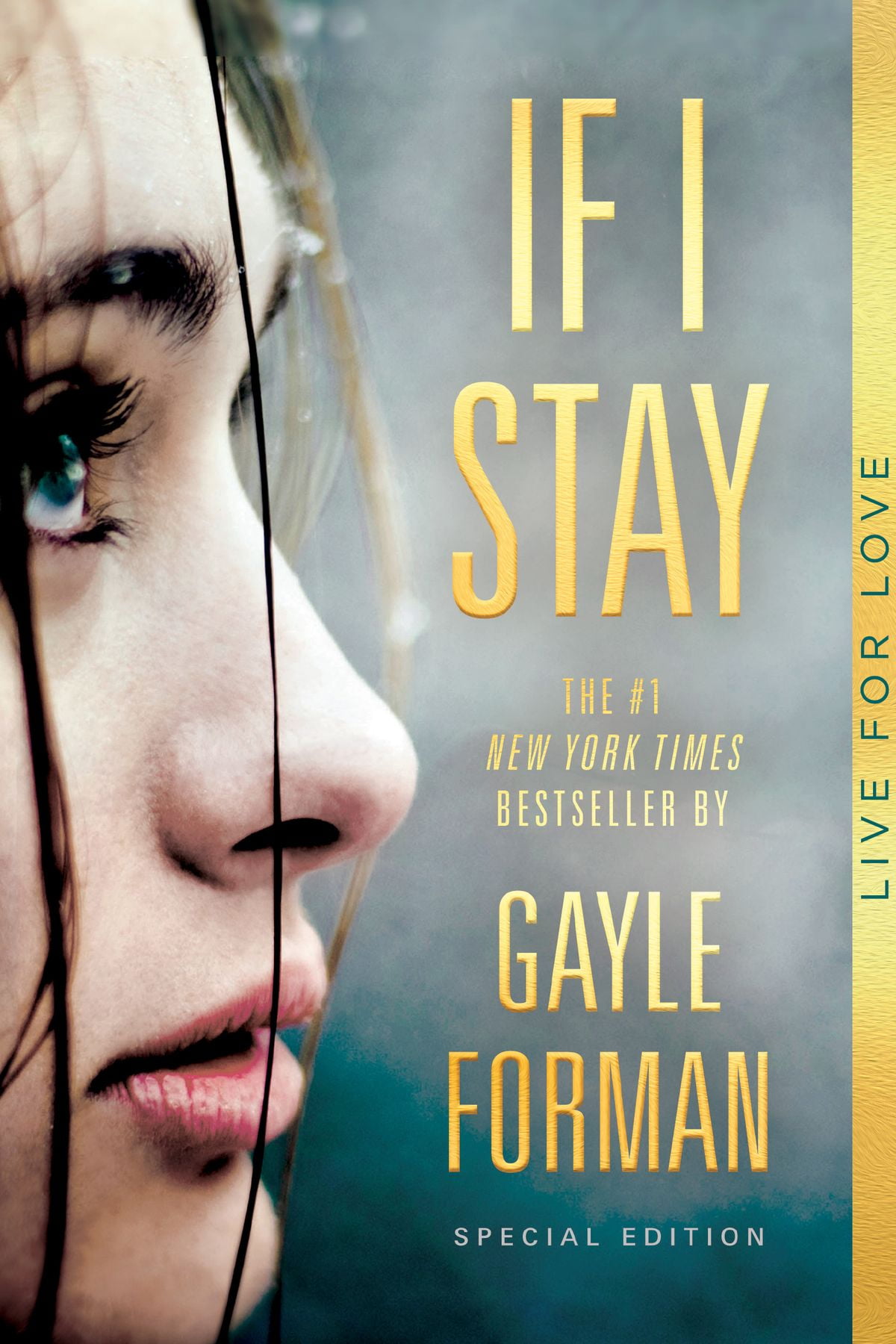 If I Stay Ebook